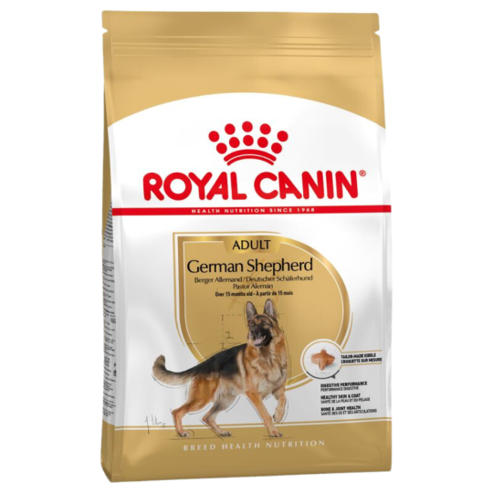Adult German Shepherd
