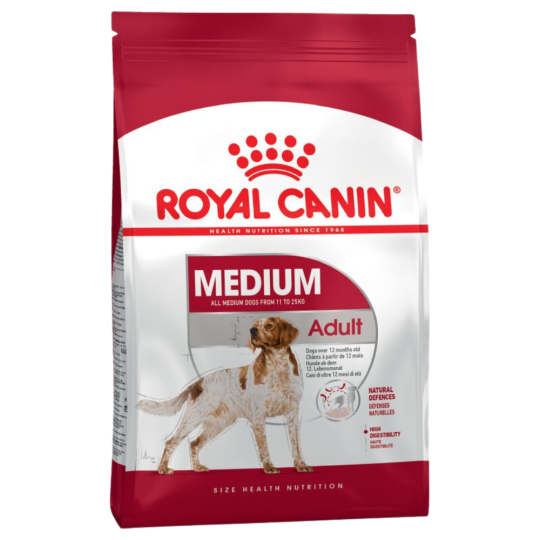 Medium Adult