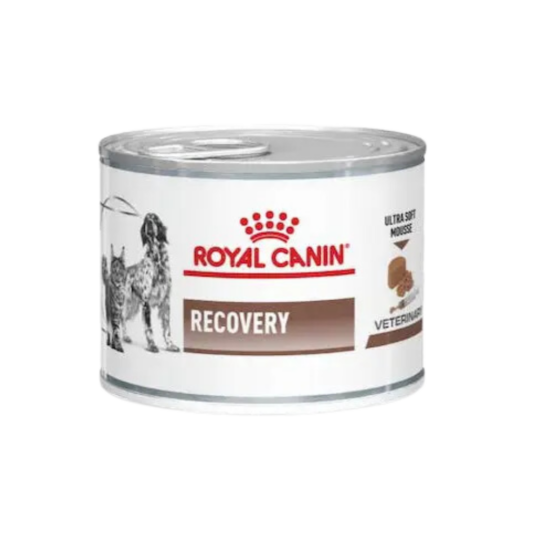 Recovery 195g
