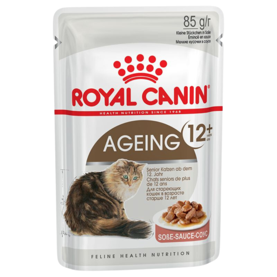 Ageing 12+ Bocconcini Salsa 12 X 85g