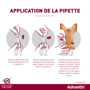 advantix chien 600x600.png