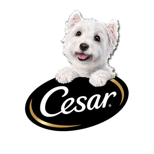 Cesar