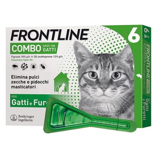 Frontline Combo Gatto
