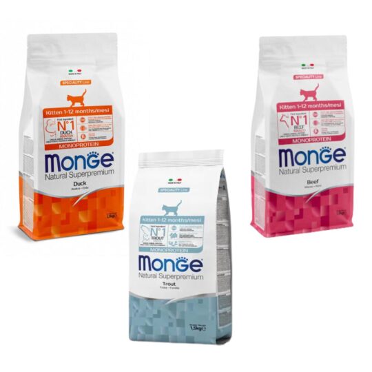 MONGE Kitten