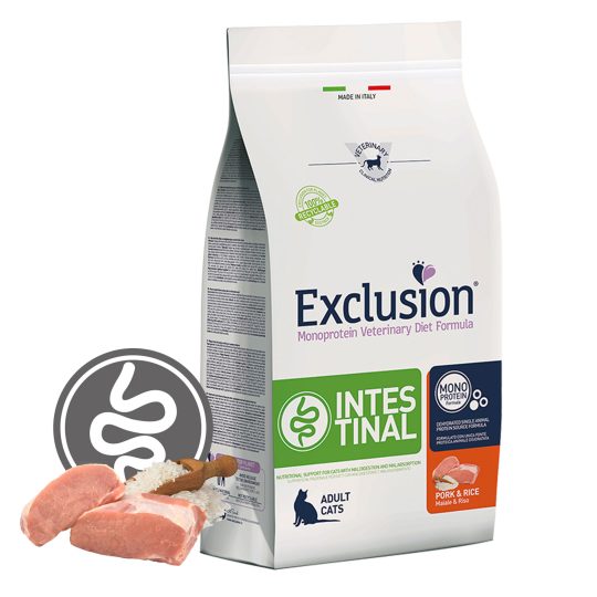 EXCLUSION INTESTINAL CAT PORK & RICE