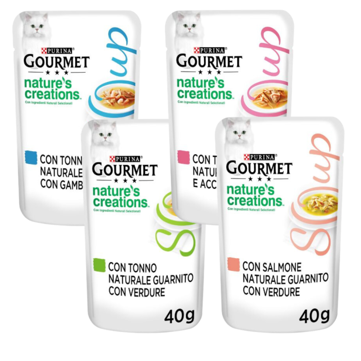 Gourmet Soup 40g