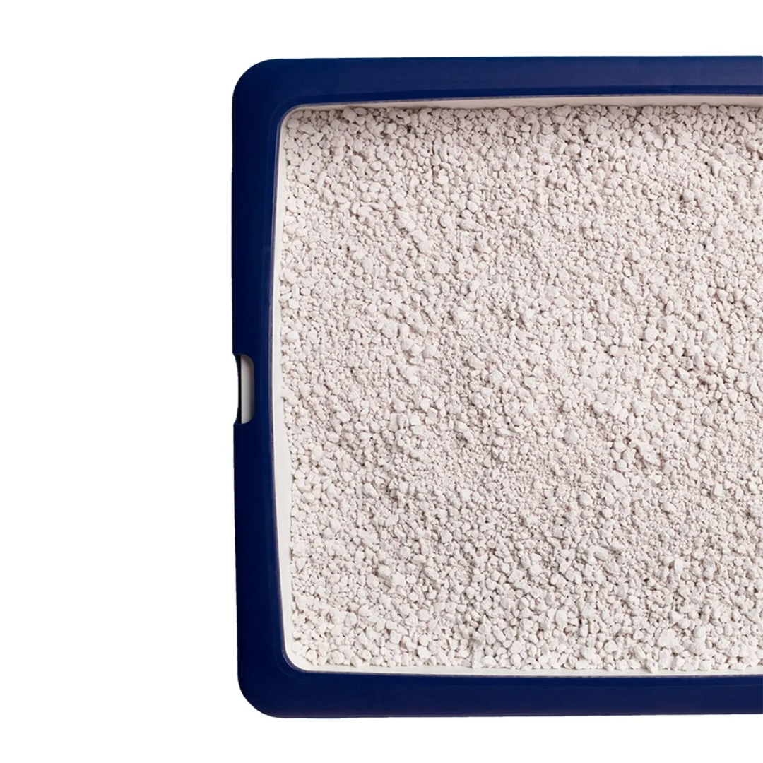 Catsan Hygiene Plus Lettiera 10L - immagine 5