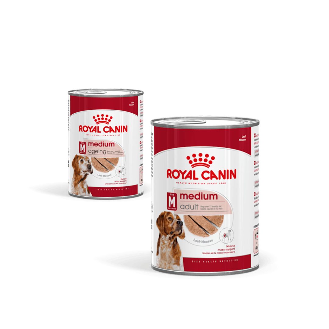 ROYAL CANIN Medium Lattina 410g