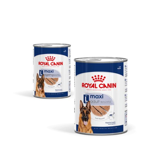 ROYAL CANIN Maxi Lattina 410g