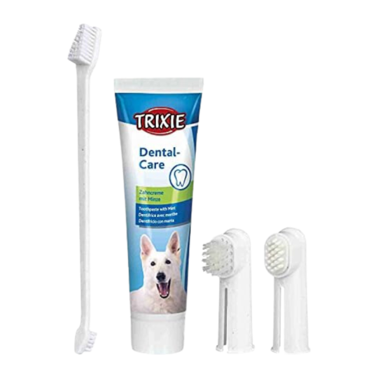 Dental-Care Set Pulizia Denti