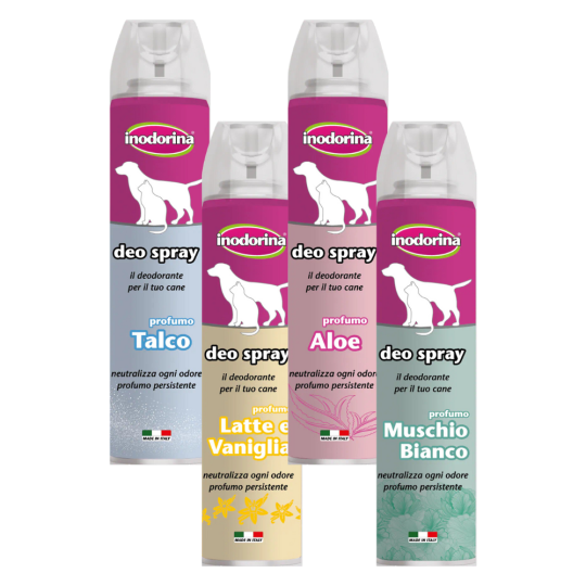 Deo Spray 300ml