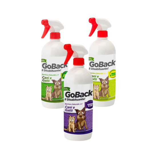 Go Back Disabituante 750ml