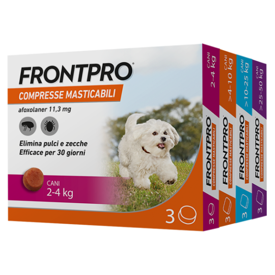 FRONTPRO