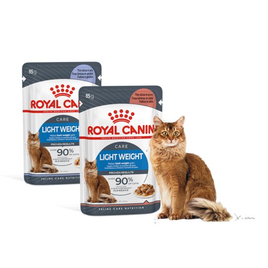 ROYAL CANIN Light Weight Care Salsa/Gelatina 12x85g