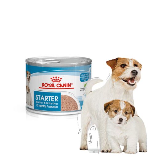 STARTER Mother & Babydog – Mousse ultra soffice 195g