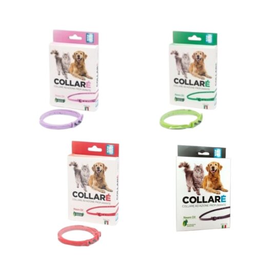 Collarè