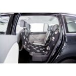 Amici Miei Pet 21 PHO PRO 13235 1 SALL AWK V1