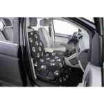 Amici Miei Pet 22 PHO PRO 13235 2 SALL AWK V1